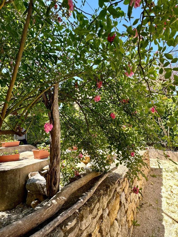 Clos De La Noria Pont-Saint-Esprit Extérieur photo