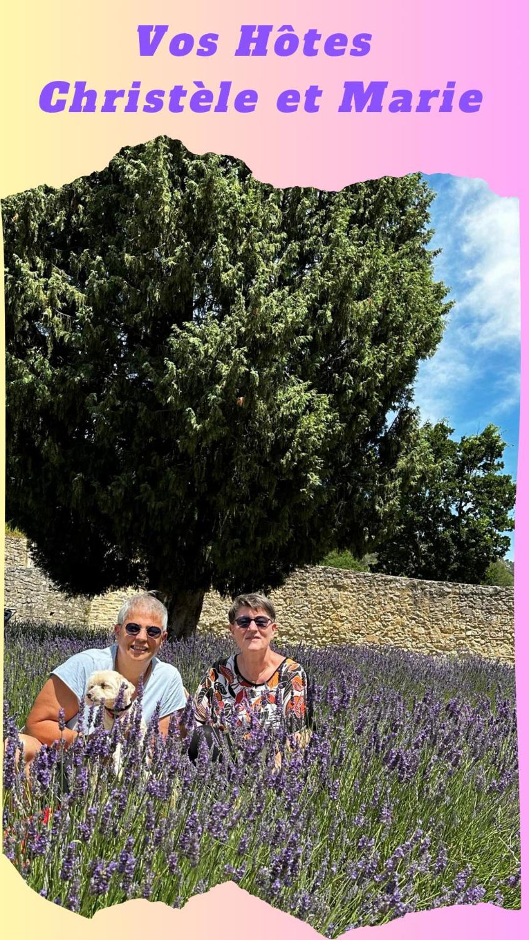 Clos De La Noria Pont-Saint-Esprit Extérieur photo